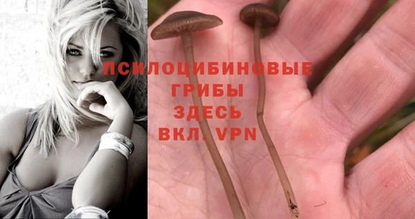 гашиш Протвино