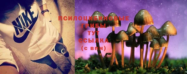 стаф Покров