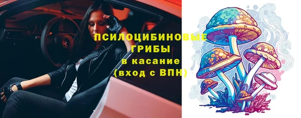 стаф Покров